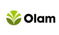 Olam